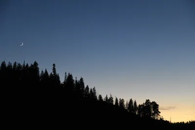 DSC_4271 (Large).JPG